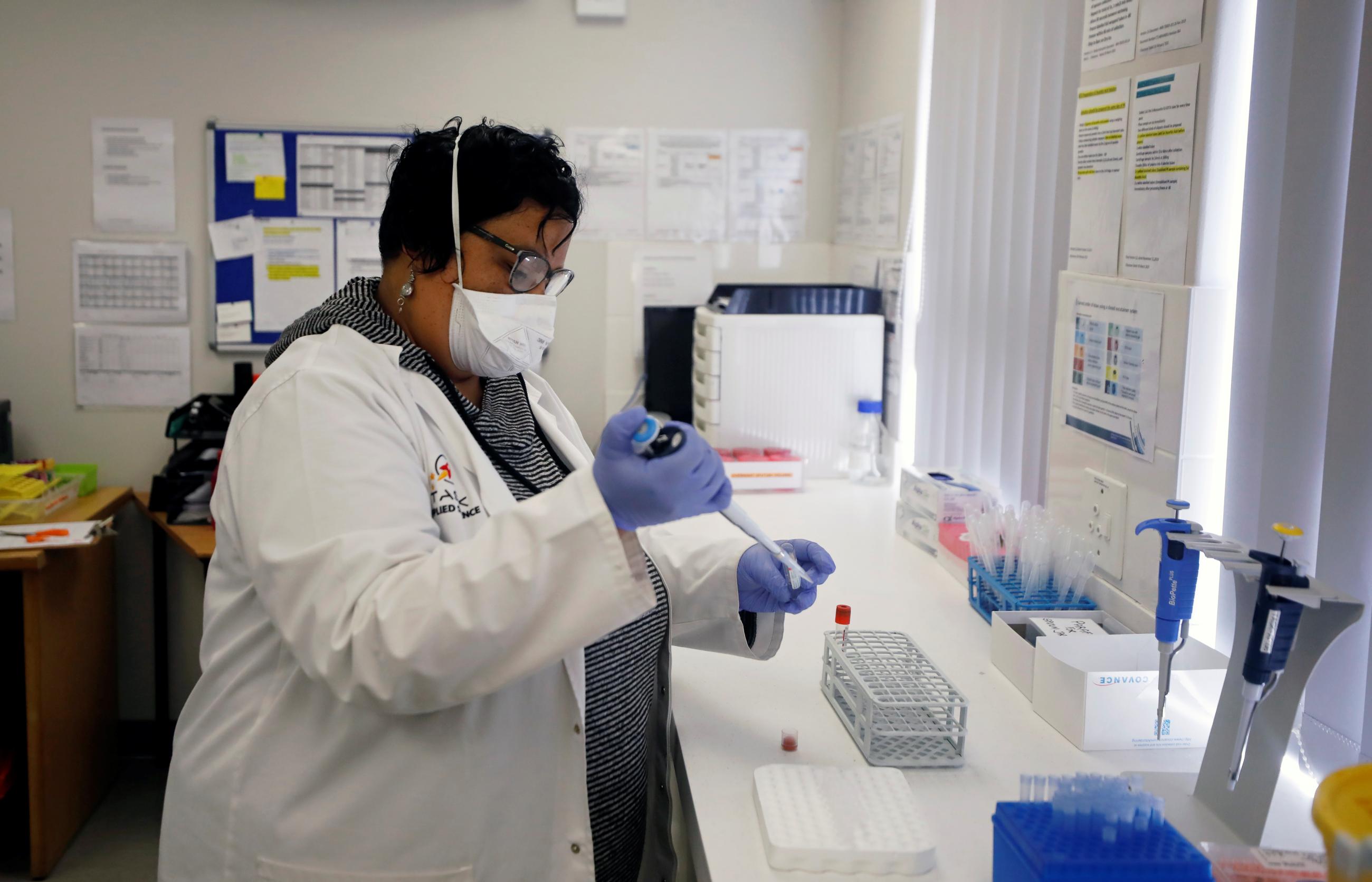A medical researcher studying the BCG vaccine for tuberculosis examines test samples in a laboratory.