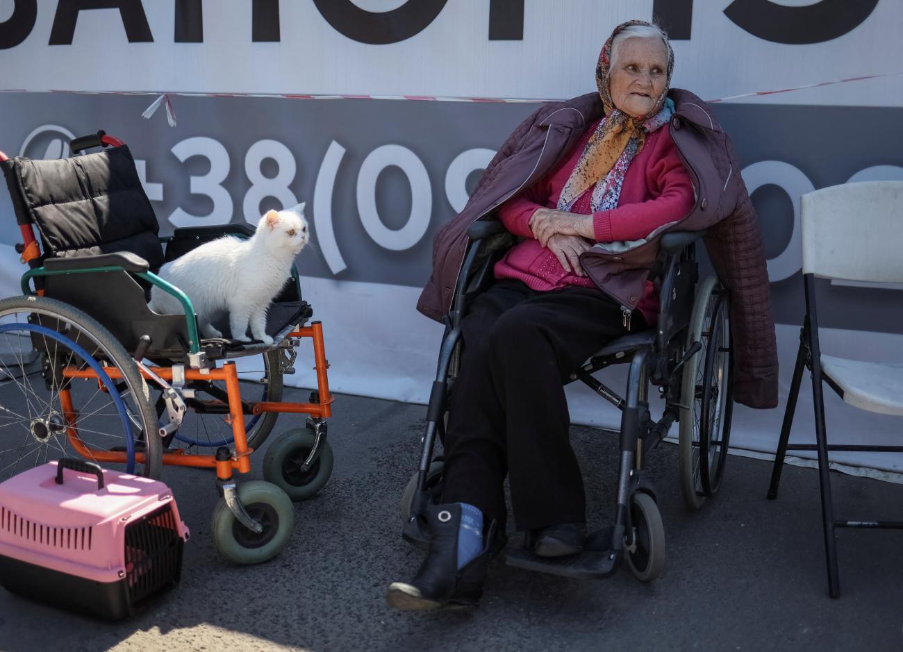 A Ukrainian refugee from Mariupol, age 81, and her cat at a registration and humanitarian aid center for internally displaced people, amid Russia's ongoing invasion of Ukraine.